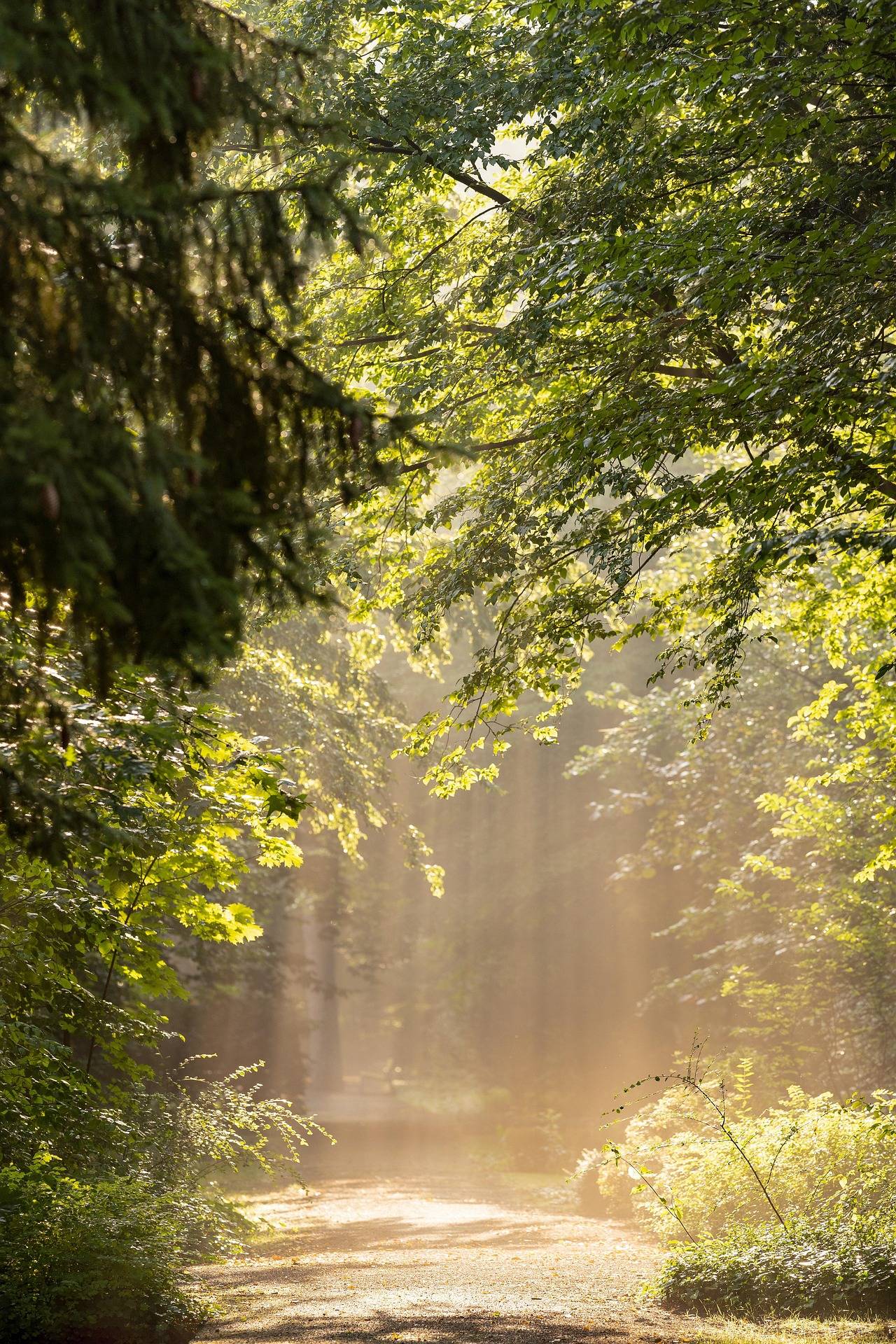 Énergie en pleine nature — formation magnétisme